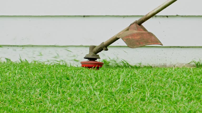 Best Grass Overseeding  in Gainesville, TX